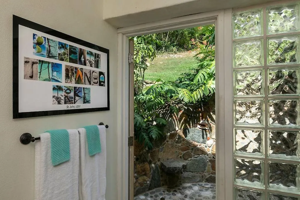 וילה הוילה Cruz Bay Beneath The Mango Tree